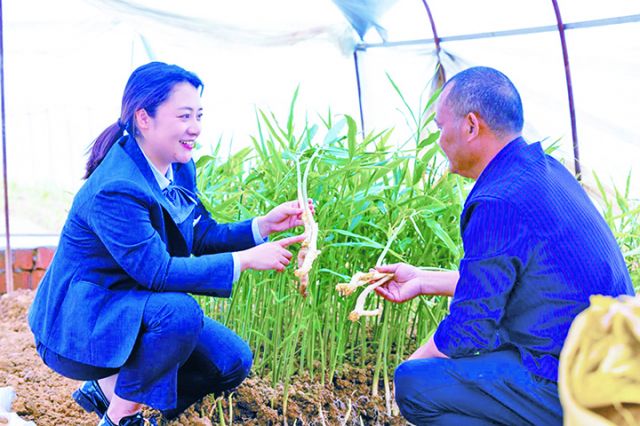 客户经理与生姜基地负责人一同探讨种植规划.jpg