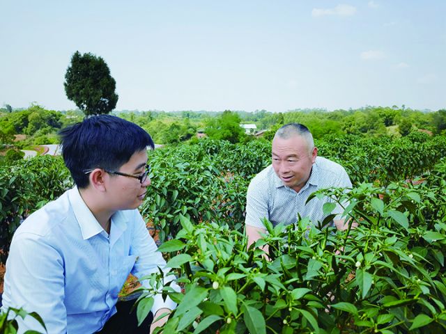 银行客户经理在田间地头了解农作物种植情况.jpg