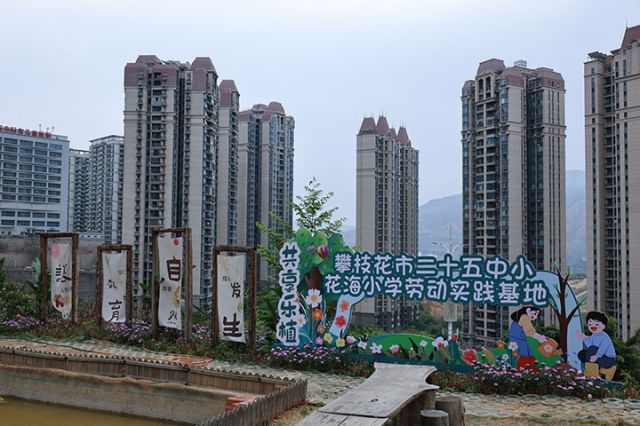 1.JPG