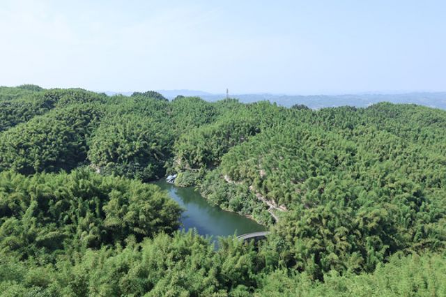 10　沐川竹海.JPG