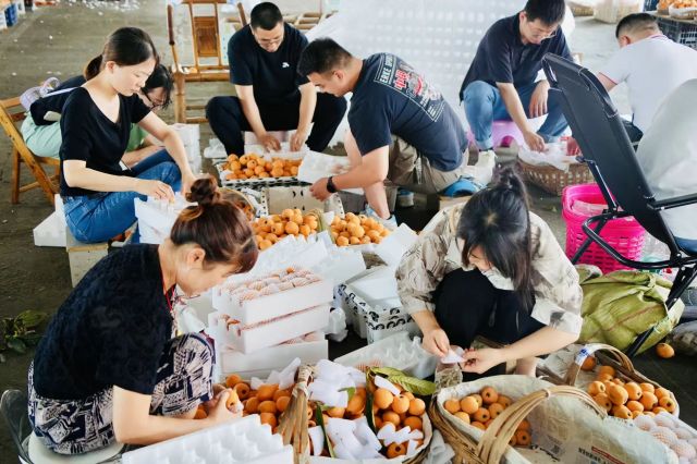 微信图片_20250527144848.jpg