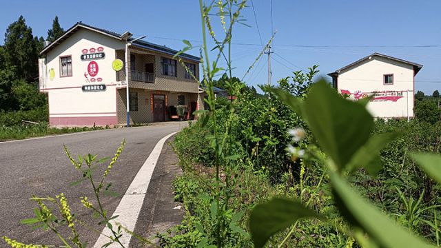 图1  宽敞道路与整洁民居   文化镇  供图.jpg