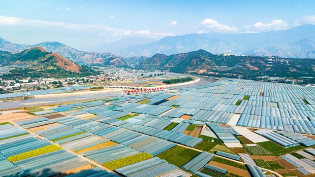 米易县安宁河流域农田  米易县委宣传部供图.jpg
