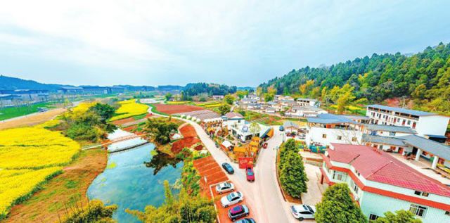 图1  资阳临空经济区红碑村.jpg