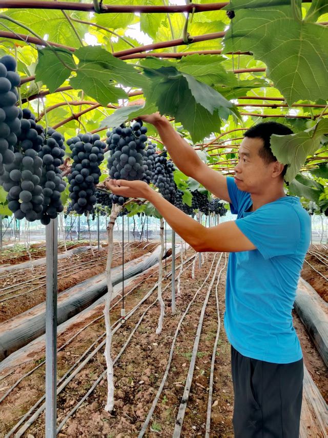 微信图片_20250629182140.jpg