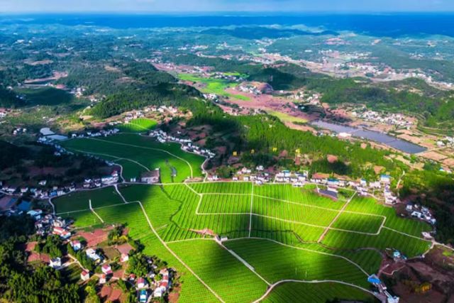 图2  魅力柠海景区。中共安岳县委宣传部供图.jpg