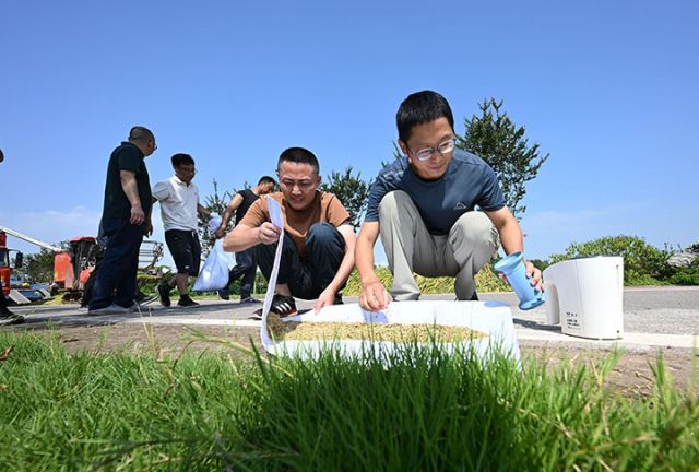 图5  技术人员在水稻中稻百亩超高产攻关片现场为水稻中稻检测水分.jpg